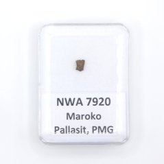 Pallasite - NWA 7920 - 0.11 grams