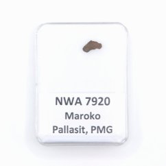 Pallasite - NWA 7920 - 0.11 grams