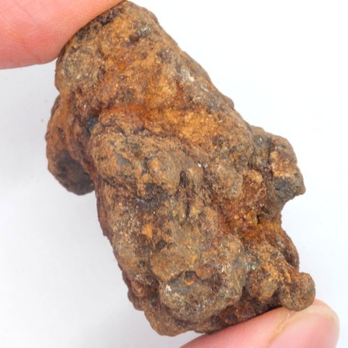 Meteorit - Pallasit - Sericho - 77,89 gramů