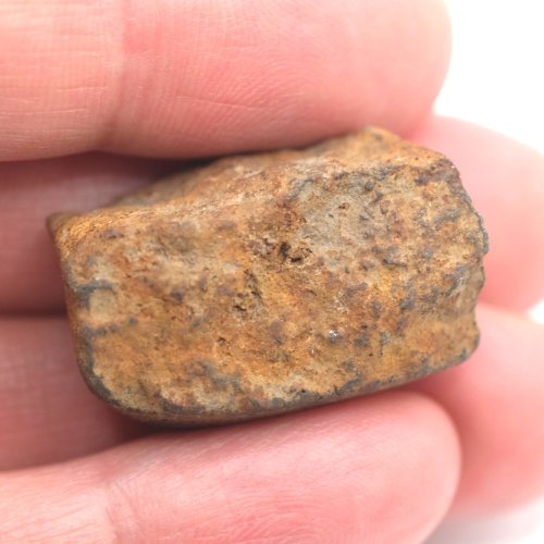 Stone Meteorite - Gao Guenie - 21.70 grams