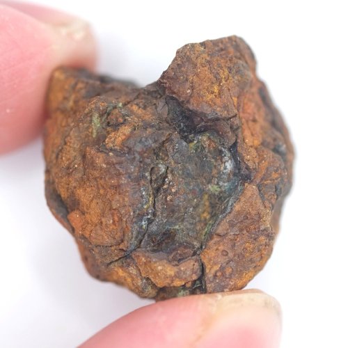 Meteorite - Pallasite - Sericho - 19.93 grams