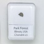 Park Forest - Chondrite L5