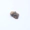 Stone meteorite NWA 14056 - 0.057 grams