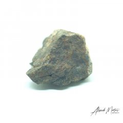 Stone meteorite - NWA 869 - 8.46 grams