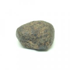 Stone meteorite - NWA 869 - 5.76 grams