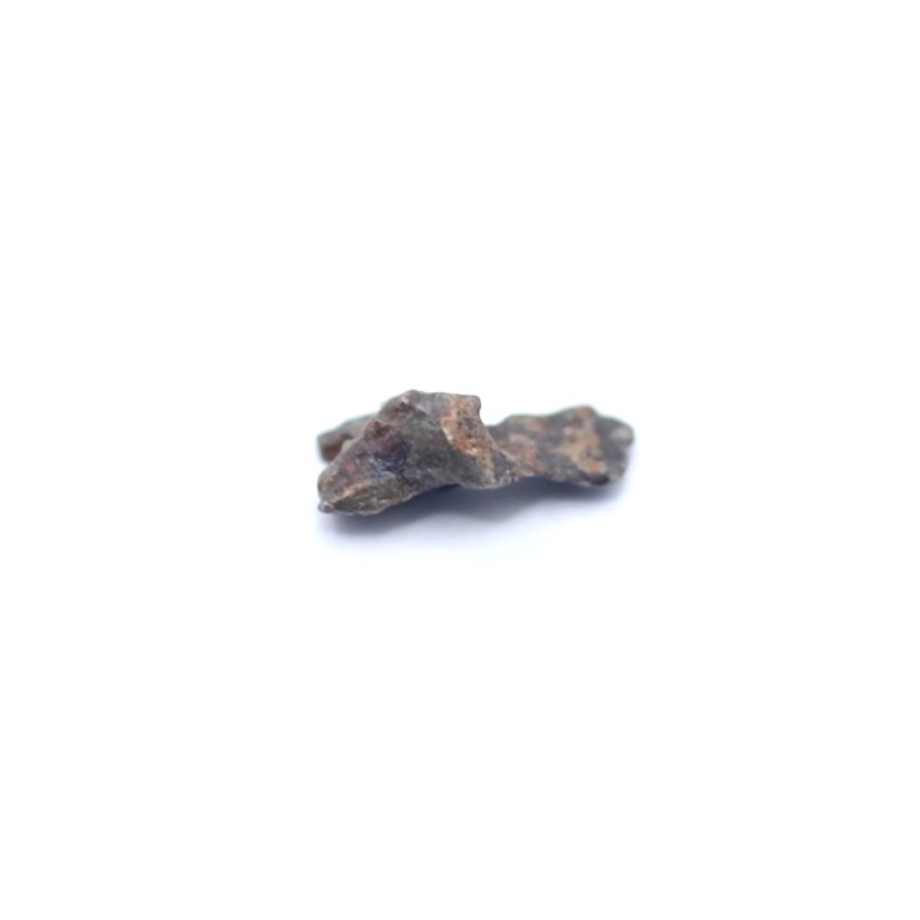 Meteorit Imilac - Pallasit - 0,122 gramů