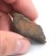 Stone Meteorite - Gao Guenie - 31.92 grams