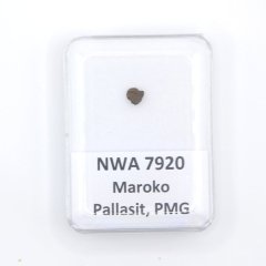 Pallasite - NWA 7920 - 0.14 grams