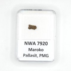 Pallasite - NWA 7920 - 0.21 grams