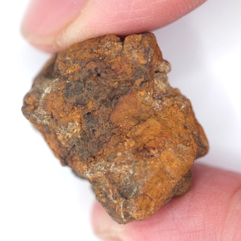 Meteorit - Pallasit - Sericho - 19,41 gramů