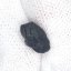 Atacamait - Chile - 0,451 gramů