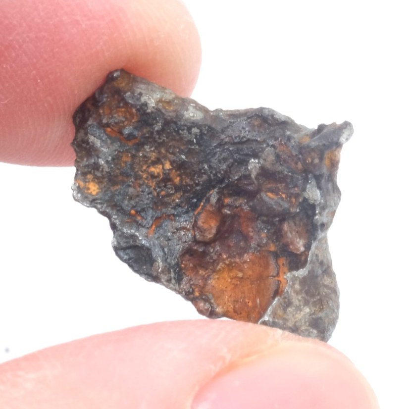 Iron meteorite - Sichote Alin - 5.63 grams