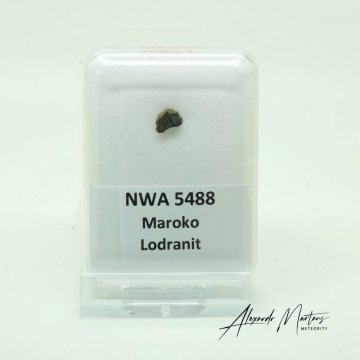 NWA 5488 - Lodranite - NW Africa - Description language - Czech