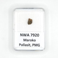 Pallasit - NWA 7920 - 0,27 gramů