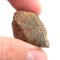 Stone Meteorite - Gao Guenie - 19.92 grams