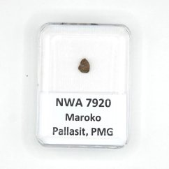 Pallasit - NWA 7920 - 0,24 gramů