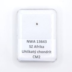 Uhlíkatý chondrit - NWA 13643 - 0,003 gramů
