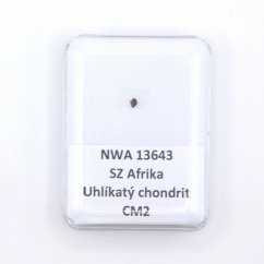 Uhlíkatý chondrit - NWA 13643 - 0,009 gramů