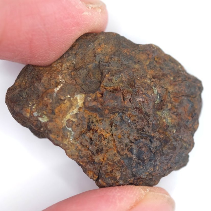 Meteorit - Pallasit - Sericho - 22,36 gramů