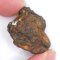 Meteorite - Pallasite - Sericho - 22.96 grams