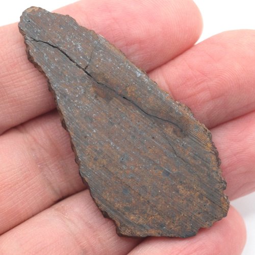Meteorite NWA XXX (unclassified) – cut slice – 6.203 grams
