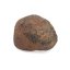 Stone Meteorite - Gao Guenie - 16.71 grams
