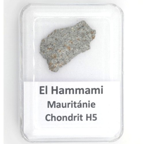 Stone Meteorite - El Hammami - 2.768 grams