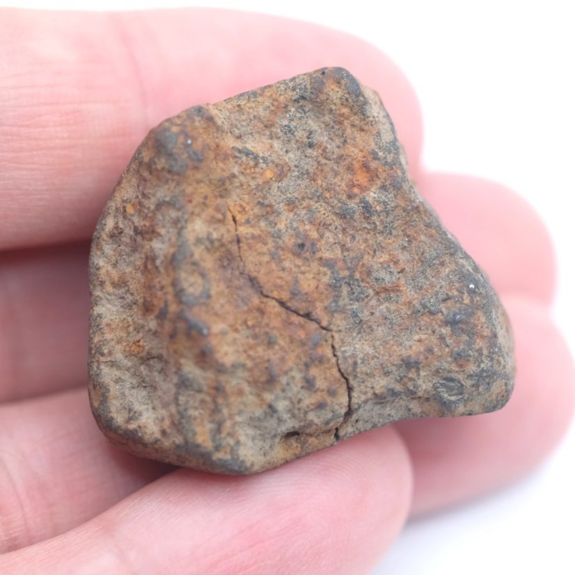 Kamenný meteorit - Gao Guenie - 36,65 gramů