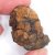 Meteorite - Pallasite - Sericho - 22.78 grams