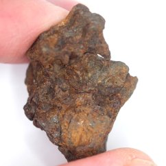 Meteorite - Pallasite - Sericho - 23.68 grams