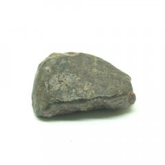 Stone meteorite - NWA 869 - 5.55 grams