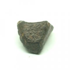Stone meteorite - NWA 869 - 6.23 grams