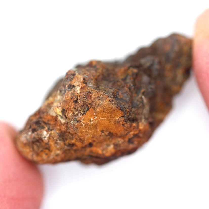 Meteorit - Pallasit - Sericho - 23,26 gramů