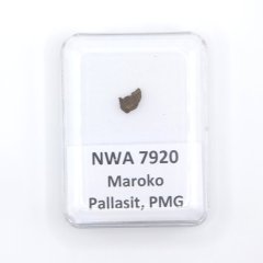 Pallasit - NWA 7920 - 0,16 gramů