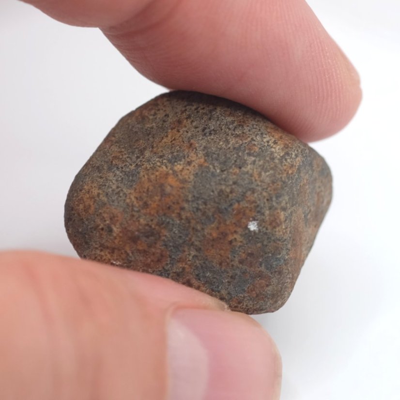 Stone Meteorite - Gao Guenie - 19.44 grams