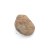Stone meteorite - aubrite - Al Haggounia 001 - 0.874 grams