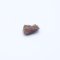 Stone meteorite Holbrook - 0.055 grams