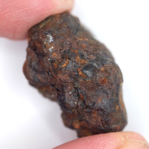 Meteorit - Pallasit - Sericho - 23,05 gramů