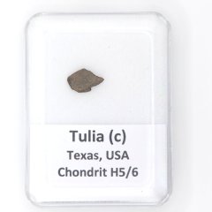 Stone Meteorite - Tulia (c) - 0.242 grams