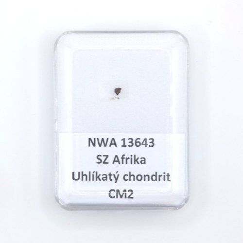 Carbonaceous Chondrite - NWA 13643 - 0.007 grams