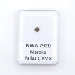 Pallasite - NWA 7920 - 0.11 grams