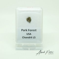 Kamenný meteorit - Park Forest - 0,298 gramů