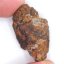 Meteorit - Pallasit - Sericho - 21,48 gramů
