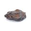 Iron meteorite - Sichote Alin - 7.11 grams