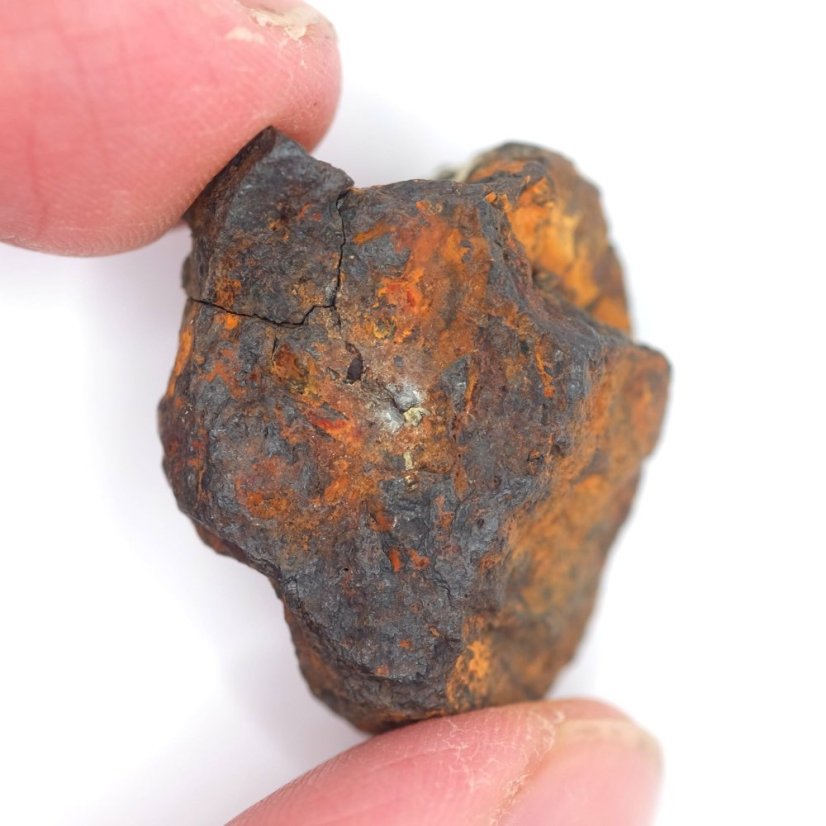 Meteorit - Pallasit - Sericho - 22,96 gramů