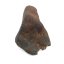 Stone Meteorite - Gao Guenie - 24.34 grams