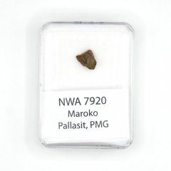 Pallasit - NWA 7920 - 0,58 gramů