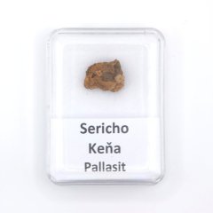 Pallasit - Sericho - 2,36 gramů