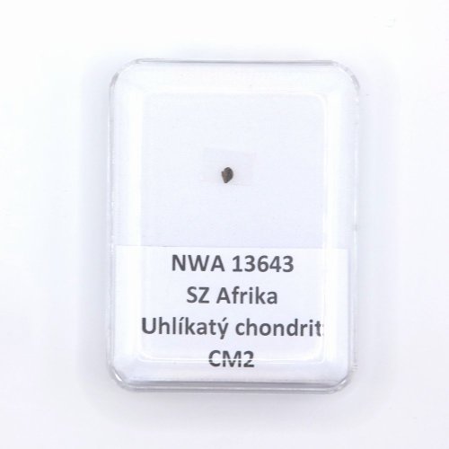 Uhlíkatý chondrit - NWA 13643 - 0,009 gramů