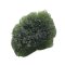 Moldavite 15.98 grams